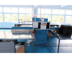 吸塑包(bao)裝生産車(chē)間