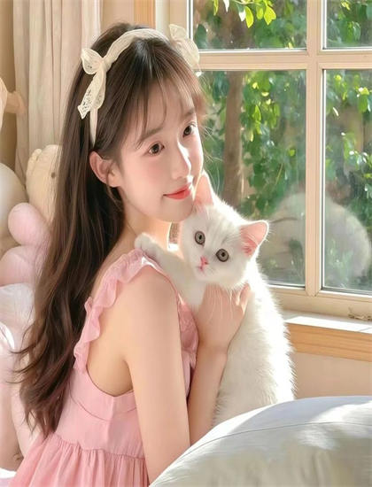 艾拉的青春日志美学价值科学分析：艺术美感与审美特征探讨，蓝光原盘